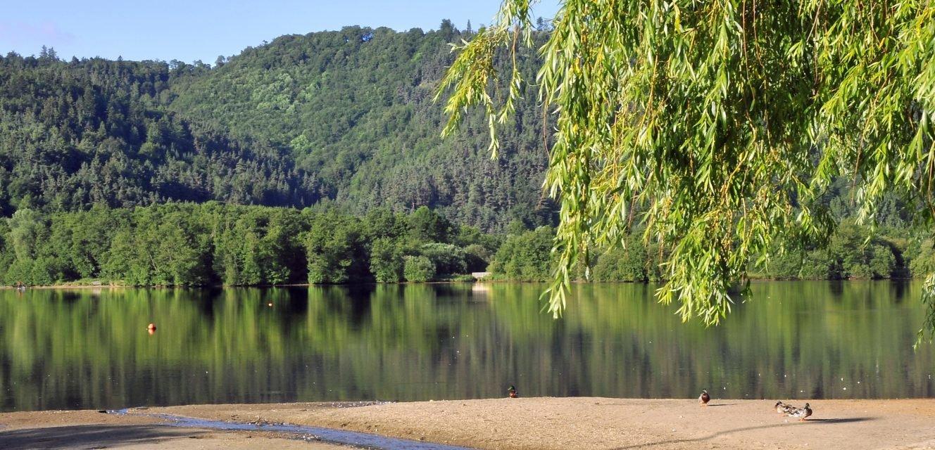 Découvrir la Chasse en INDRE: Explorer la Faune Régionale Diversifiée, Plonger dans les Traditions Authentiques et Révéler des Faits Marquants Découvrir la Chasse en INDRE: Explorer la Faune Régionale Diversifiée, Plonger dans les Traditions Authentiques et Révéler des Faits Marquants