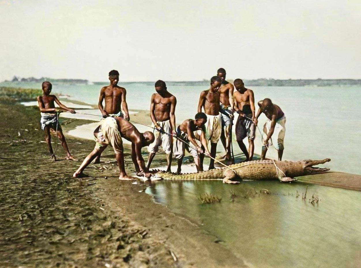 Crocodile hunting. Crocodile hunting.