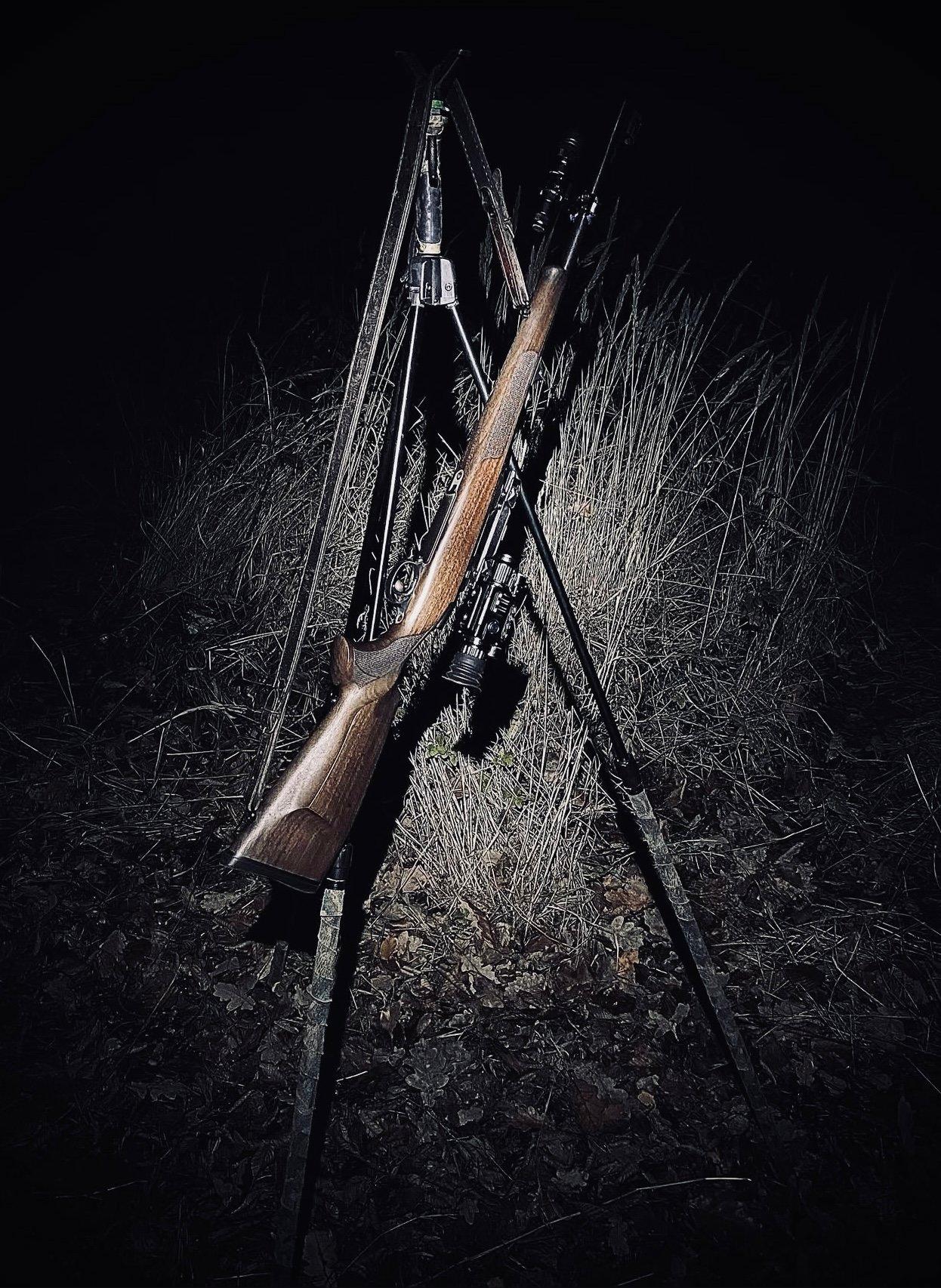 Hog Hunting with My Trusty CZ Carbine Hog Hunting with My Trusty CZ Carbine