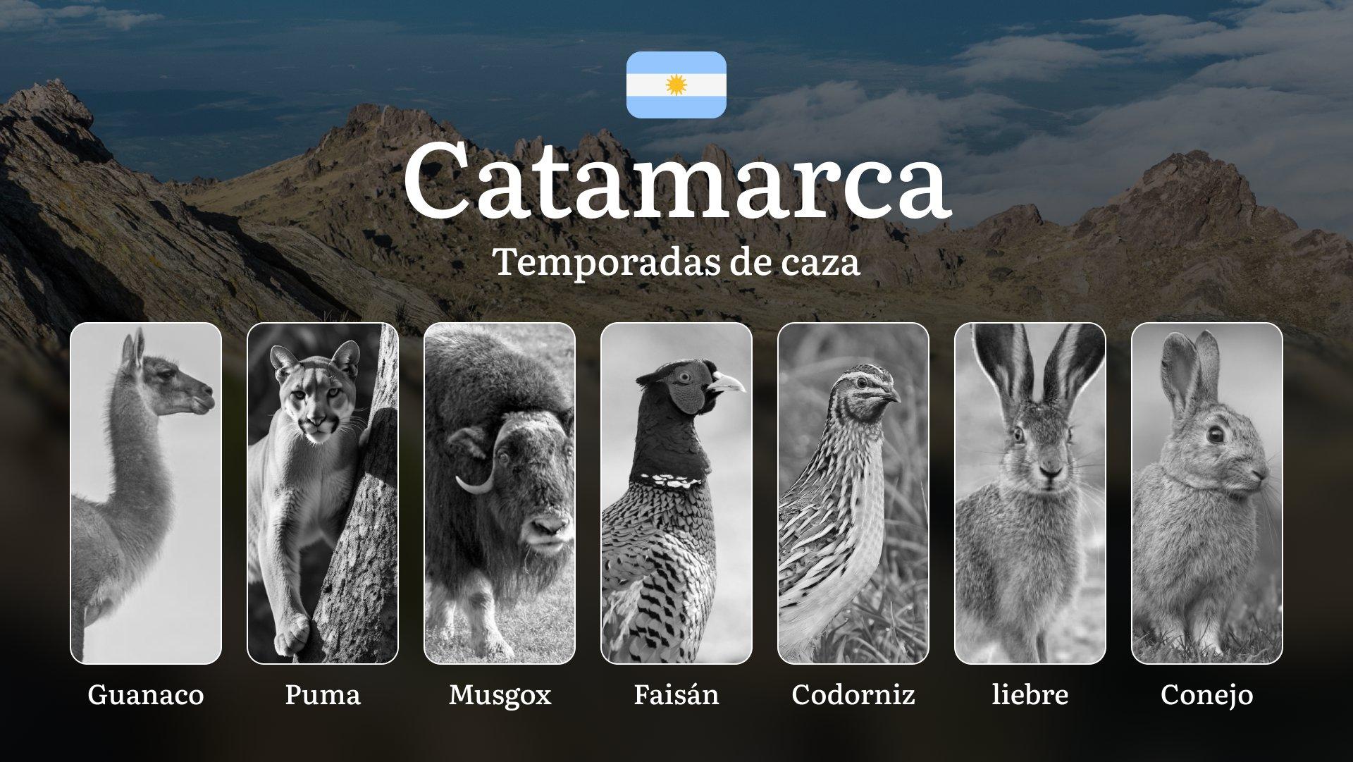 Argentina, región de Catamarca: épocas de caza, permisos y normativa, prohibiciones y restricciones, consejos para planificar la caza  Argentina, región de Catamarca: épocas de caza, permisos y normativa, prohibiciones y restricciones, consejos para planificar la caza