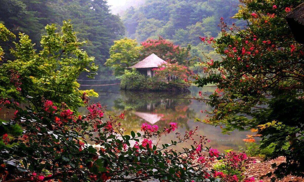 제주도 야생동물 사냥  제주도 야생동물 사냥