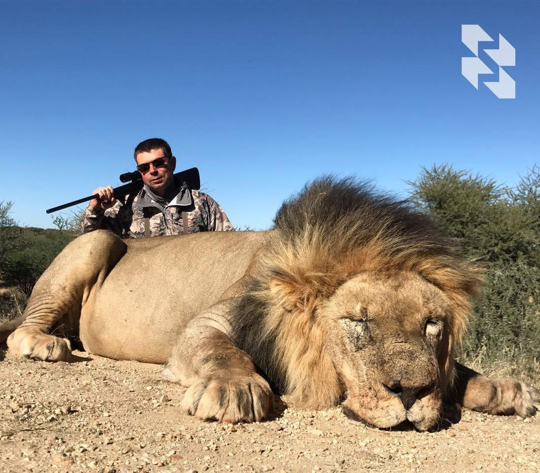 The lion's share of wild ๐ฆ lions live in Africa. The lion's share of wild ๐ฆ lions live in Africa.