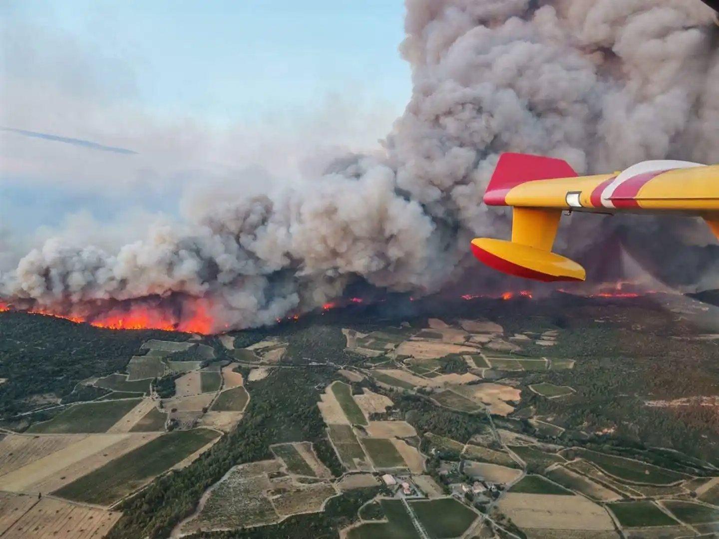 Après le méga-feu dans l’Aude, chasseurs et agriculteurs se mobilisent pour replanter dans les Corbières  Après le méga-feu dans l’Aude, chasseurs et agriculteurs se mobilisent pour replanter dans les Corbières