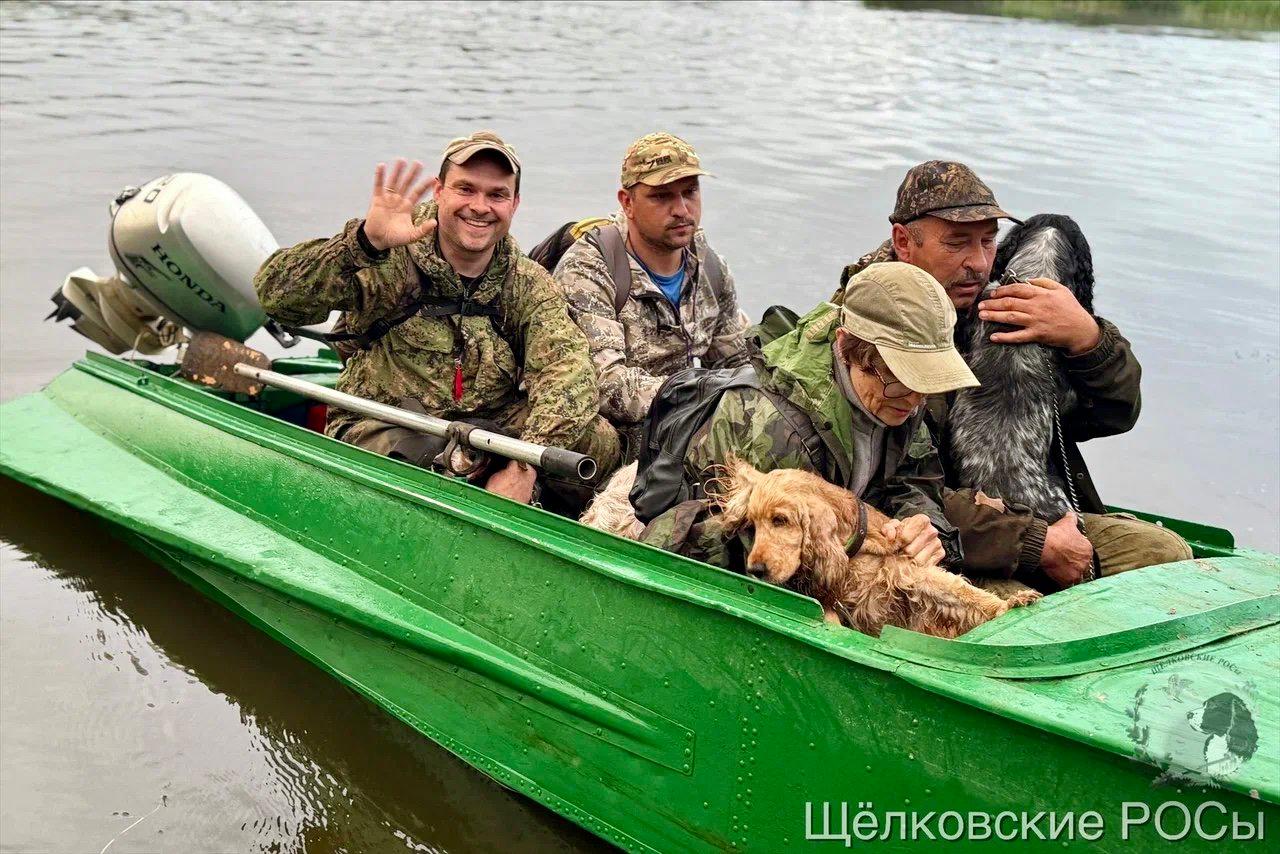 Чемпионат спаниелей «Бердыж-2025»: как Беларусь определила Полевого Чемпиона по болотной дичи 🐾 Чемпионат спаниелей «Бердыж-2025»: как Беларусь определила Полевого Чемпиона по болотной дичи 🐾