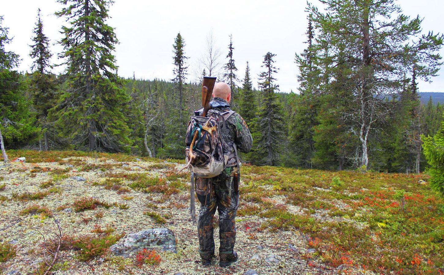 Joensuu Hunting: Exploring the Region’s Unique Geographical Features, Laws and Clubs, Game, and Legislation Joensuu Hunting: Exploring the Region’s Unique Geographical Features, Laws and Clubs, Game, and Legislation