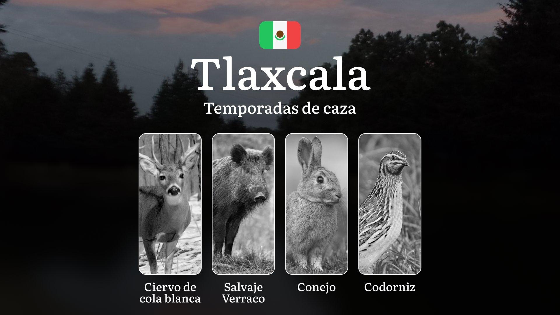 Temporadas y períodos de Caza en Tlaxcala: Patrones Estacionales y Regulaciones, Cómo Obtener un Permiso de Caza en la Región Temporadas y períodos de Caza en Tlaxcala: Patrones Estacionales y Regulaciones, Cómo Obtener un Permiso de Caza en la Región