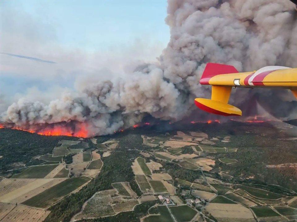 Après le méga-feu dans l’Aude, chasseurs et agriculteurs se mobilisent pour replanter dans les Corbières  Après le méga-feu dans l’Aude, chasseurs et agriculteurs se mobilisent pour replanter dans les Corbières