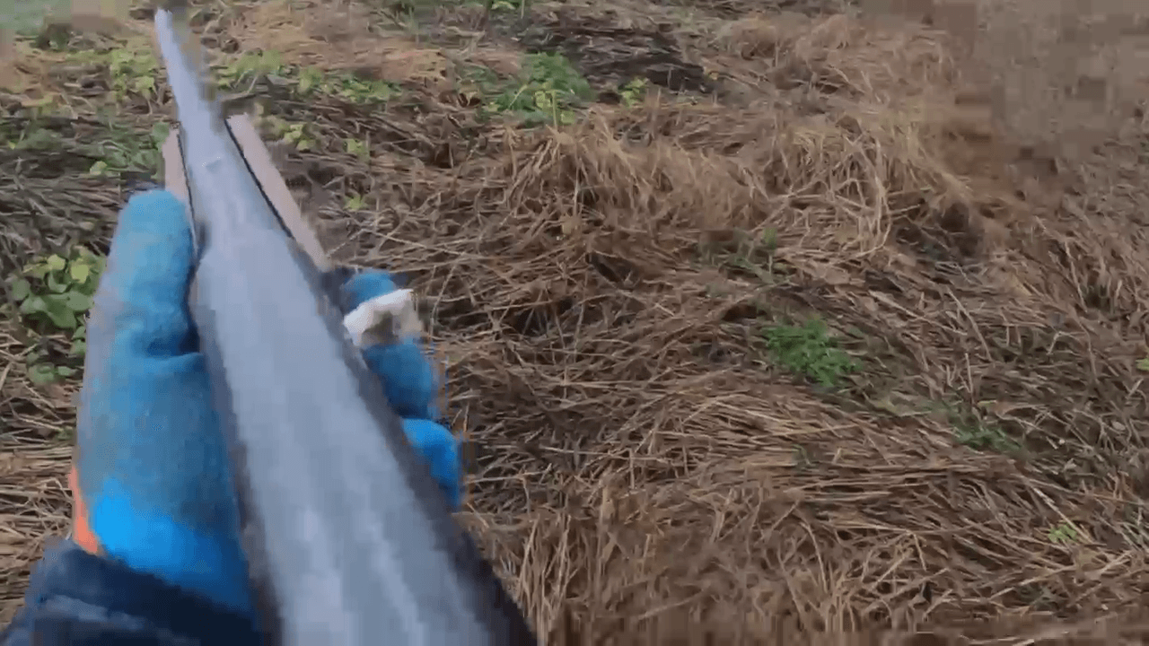 Fox Hunting in Belarus: Tradition, Methods, Weapons, Seasons, Tips.
Fox hunting in Belarus is a time-honored pursuit that blends skill, patience, and deep knowledge of t