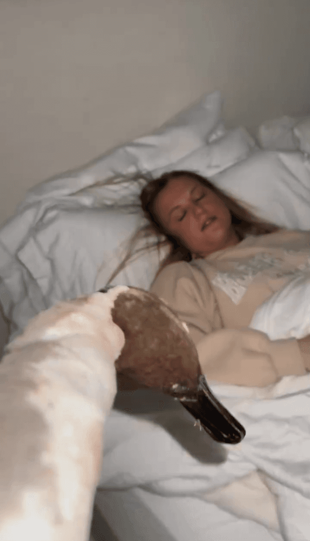 Goose kissing challenge
What to do if you really like goose hunting, but your wife does not understand your hobbies. If she thinks that you are being insufficiently atte