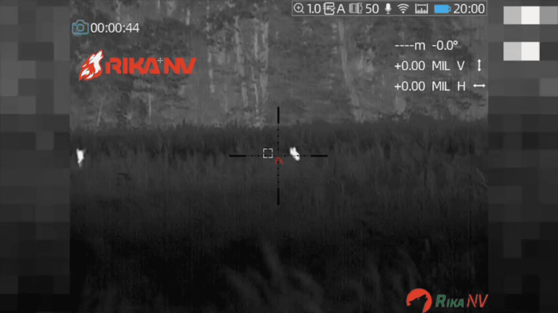 Roe deer hunting in Belarus: a great shot and tips for choosing a thermal imaging scope
Roe deer hunting is an exciting activity that requires patience and skill. In our