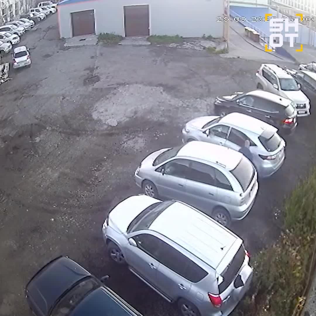 Медведь напал на женщину в Петропавловске-Камчатском: подробности трагедии, видео, советы по безопасности
• Что произошло: нападение медведя в центре города
• Видео с ме