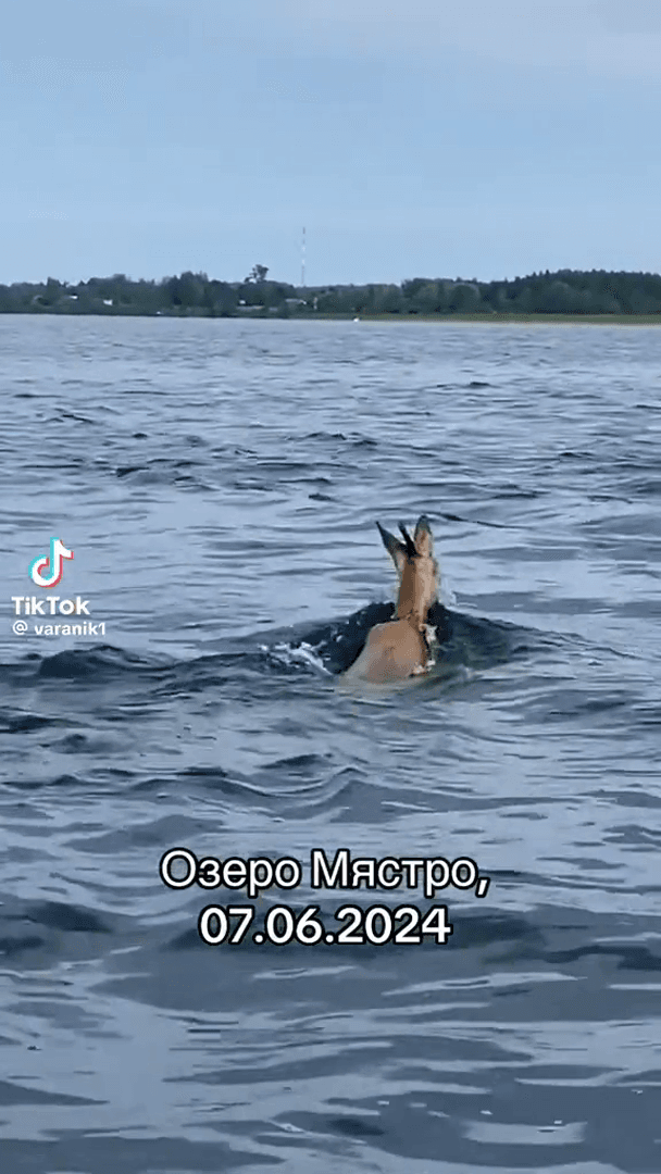 Удивительное рядом Удивительное рядом
