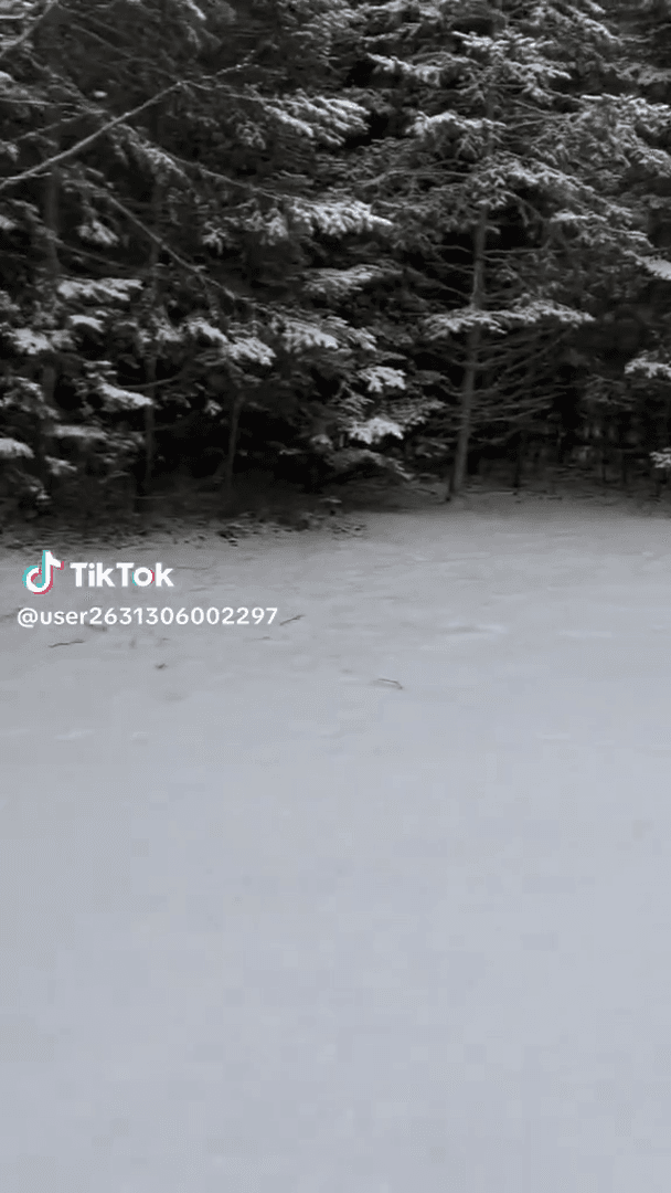 Post image Post image