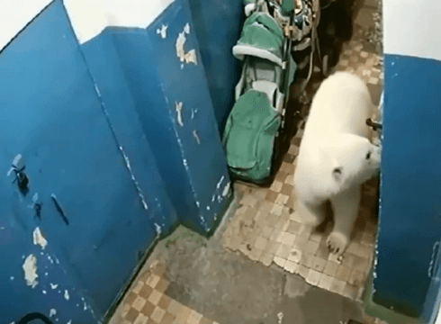 Somewhere in the Russian north…