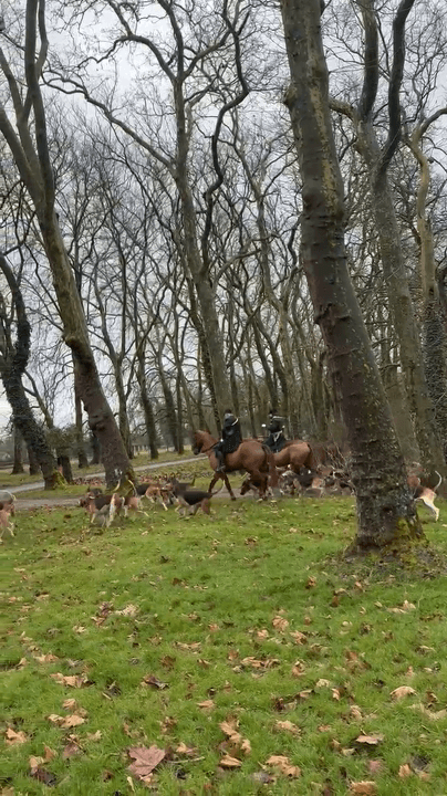 Depart pour la chasse au cerf du Rallye de la Brie en forêt de Paray le frésil et retraite manqué. Depart pour la chasse au cerf du Rallye de la Brie en forêt de Paray le frésil et retraite manqué.