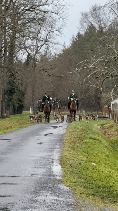 Depart pour la chasse au cerf du Rallye de la Brie en forêt de Paray le frésil et retraite manqué. Depart pour la chasse au cerf du Rallye de la Brie en forêt de Paray le frésil et retraite manqué.