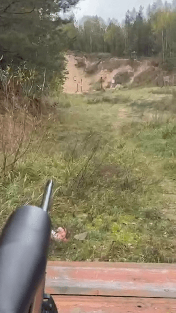 Driven Hunt Season: Sighting in Your Gun and Preparing for the Active Season
The driven hunt season is the time when hunters prepare their guns and optics for a successf
