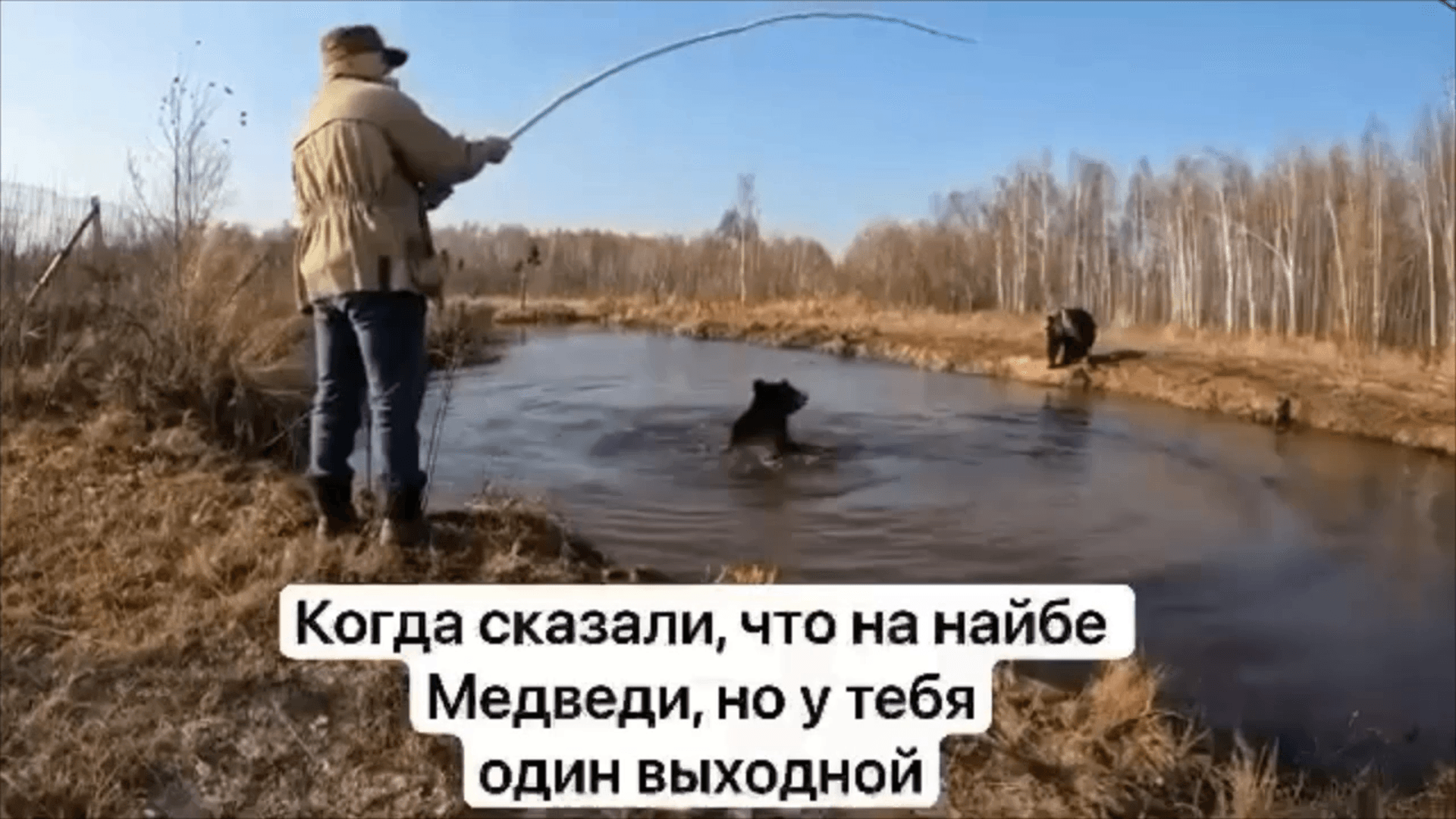 Ничего необычного, просто мужик из деревни играет с тремя медведями во время рыбалки.
Типичная рыбалка в России.
