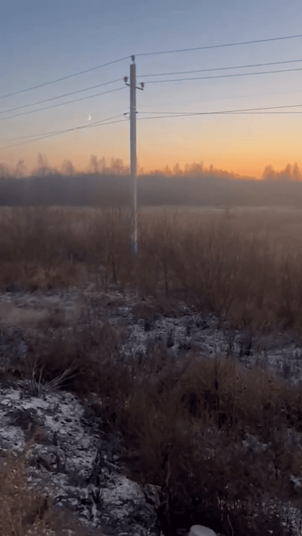 В Псковской области автомобиль сбил лося, выбежавшего на трассу. В Псковской области автомобиль сбил лося, выбежавшего на трассу.