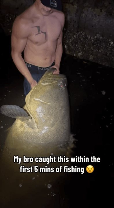 Гигантского группера весом в 53 килограмма выловил парень из США.
Он был на рыбалке впервые и смог выловить огромную рыбу всего за 5 минут.
Группер дуреет с этой прикор