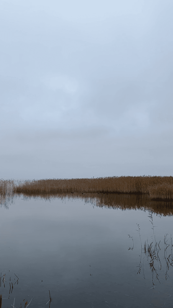 Озеро Нарочь Озеро Нарочь