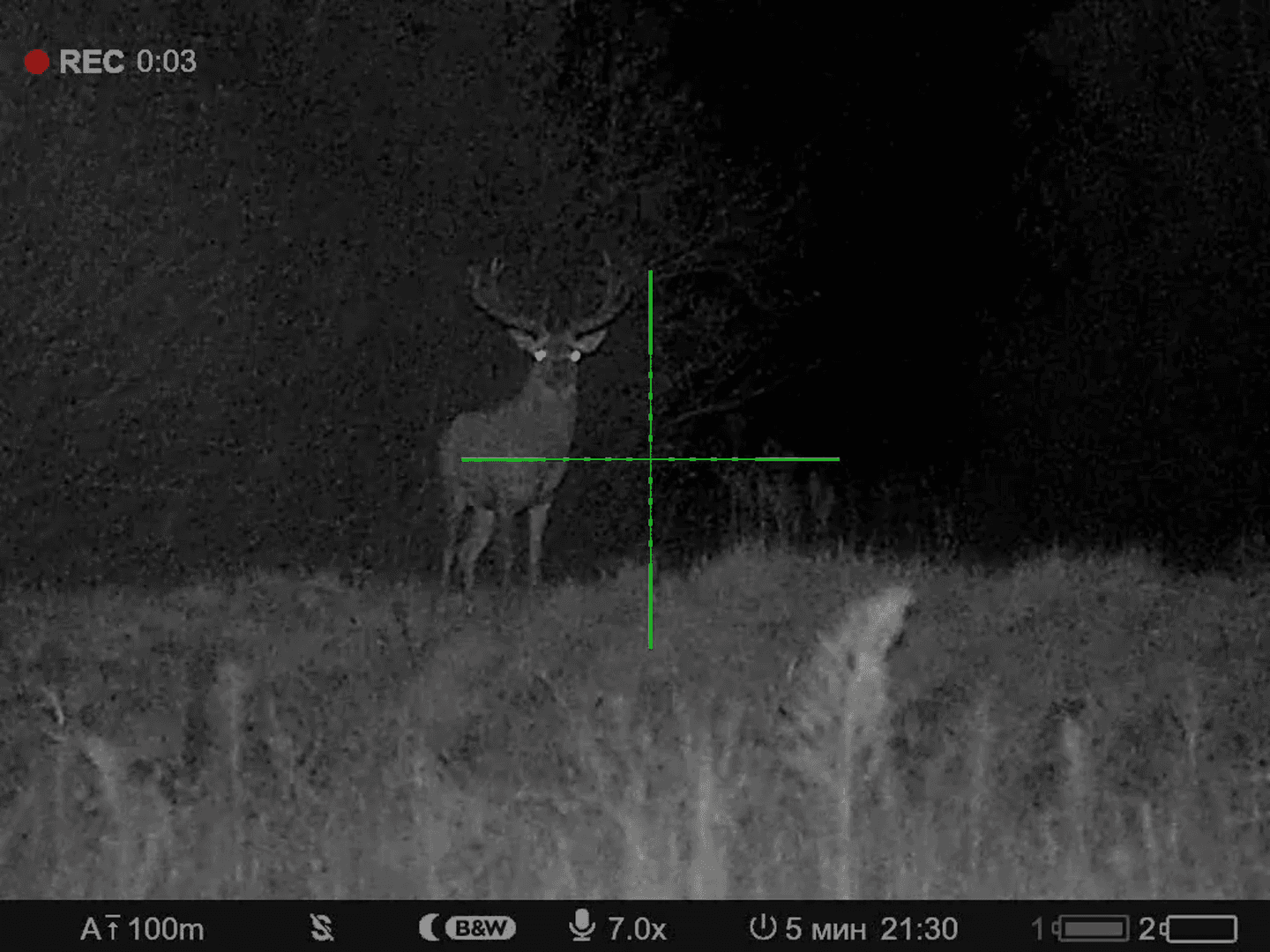 Pulsar Digex C50 Night Vision Scope with Digex X940S IR Illuminator Review 
I recently had the opportunity to try out the Pulsar Digex C50 night vision scope along with