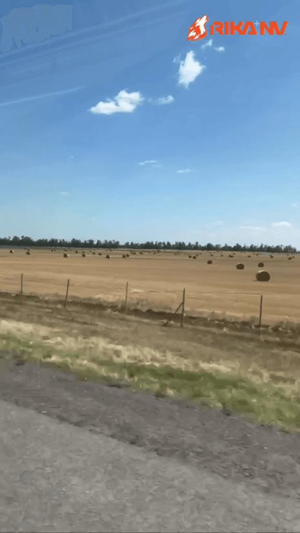 🦆☀️Уже завтра на Кубани прозвучат первые выстрелы, которые ознаменуют новый охотничий сезон! 
Кубанские охотники отправятся в степи охотиться на перепела!🪶
Пожелаем н