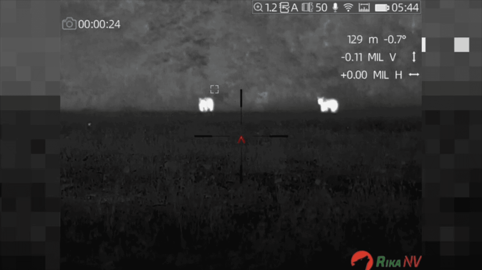 🐻🌒Ne samo u Rusiji medvjed postaje obična životinja koja se često može naći u divljini... 🐻🌒Ne samo u Rusiji medvjed postaje obična životinja koja se često može naći u divljini...