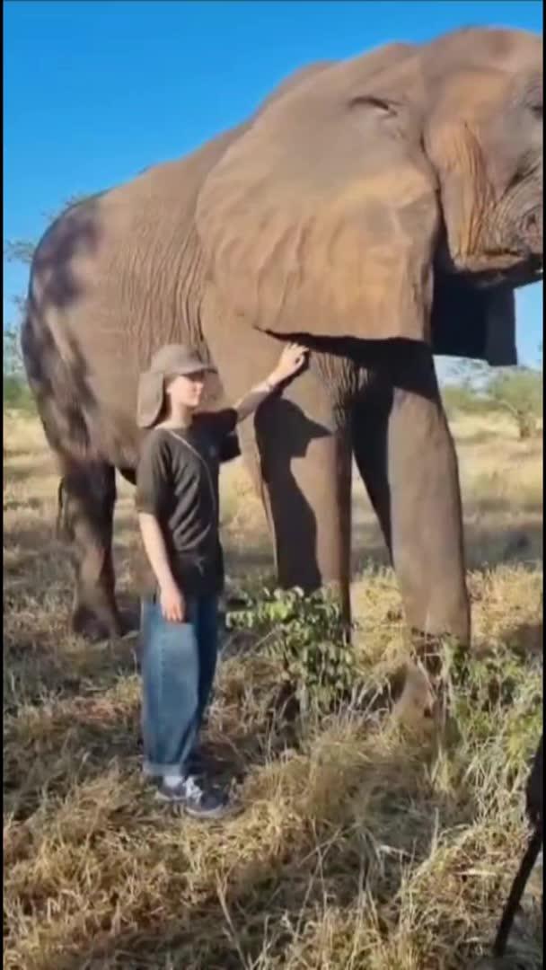 There is no argument — the most memorable trips happen in Africa!
When you have explored all your favorite resorts in the Old World and are even tired of them, we recomm