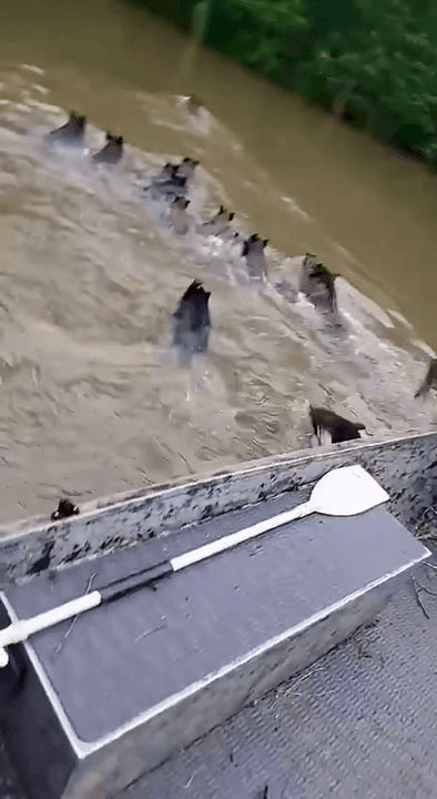 You hunt like a girl! You hunt like a girl!