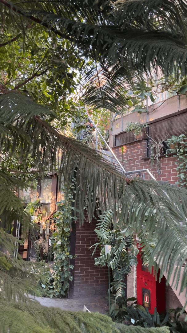 In Brest, near the old building of the Pushkin State University, there is an educational and methodological complex called "Winter Garden". In Brest, near the old building of the Pushkin State University, there is an educational and methodological complex called "Winter Garden".