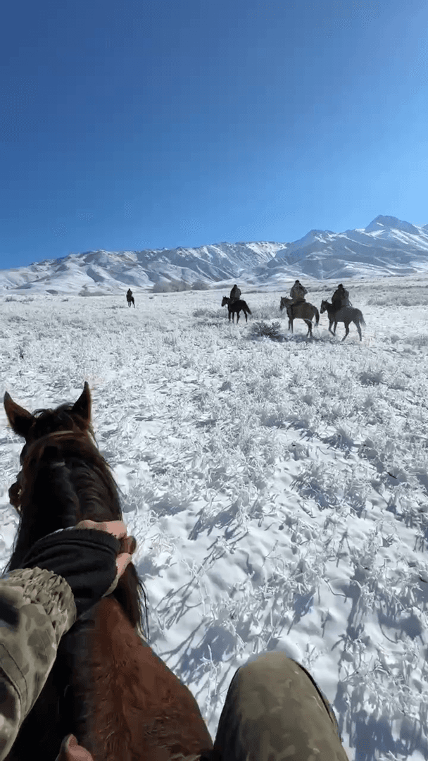Mountain Atmosphere of Kazakhstan: Horseback Riding and Adventures
Immerse yourself in the atmosphere of mountainous Kazakhstan with Evgeniy Golubev! What could be bette