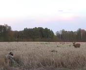 Hunting Deer by Calling — A Tactical and Seasonal Art Now in Full Swing Across Russia
Calling deer — or “hunting by lure” — is a highly skilled and strategic method in w