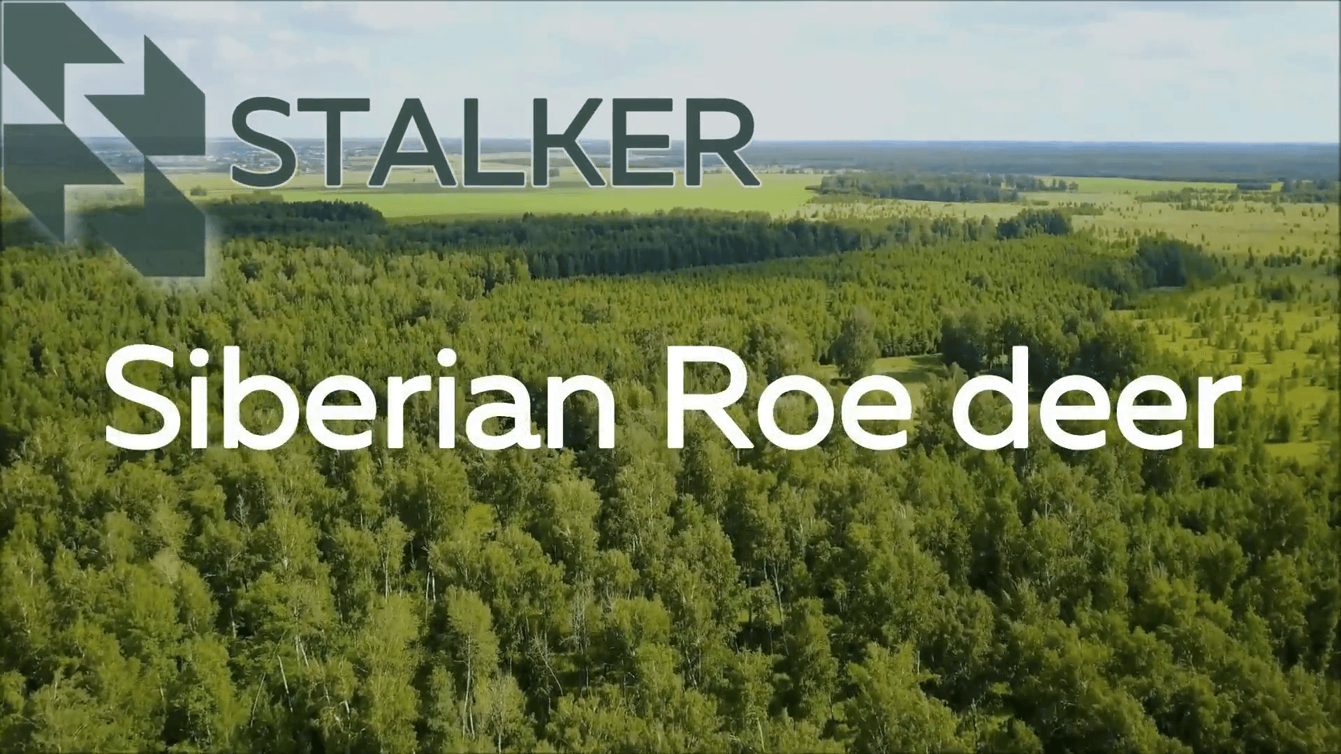Siberian Roe Deer and Elk Hunting in Kurgan Oblast
🦌Roe Deer: from August 20 to September 20; from October 1 to October 31
🫎Elk: from September 10 to October 10
Roe d