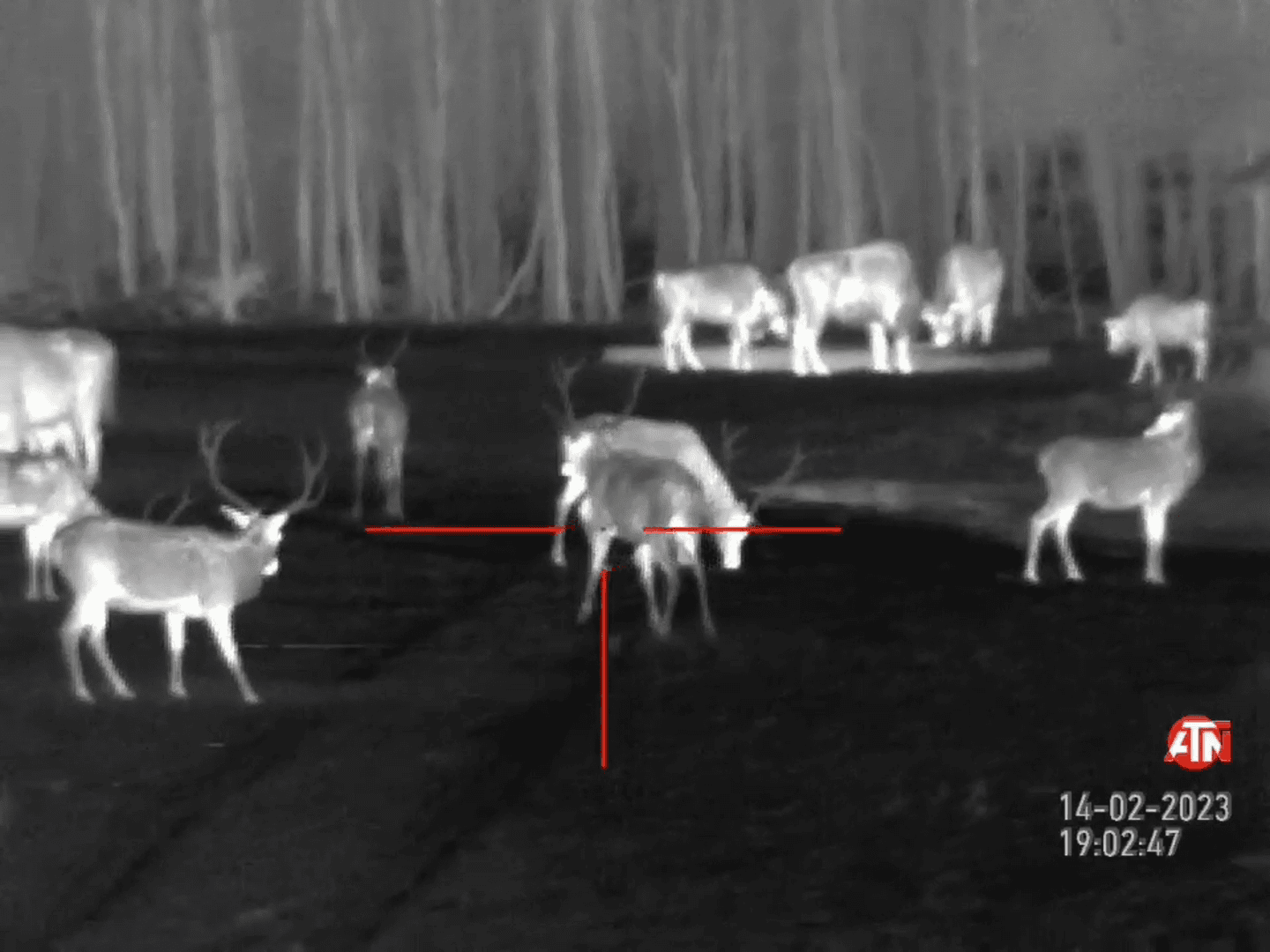 ATN HD MARS 4.5-18 Thermal Scope Review
As a user of the ATN HD MARS 4.5-18 thermal scope, I’ve had the opportunity to extensively test its features and performance dur