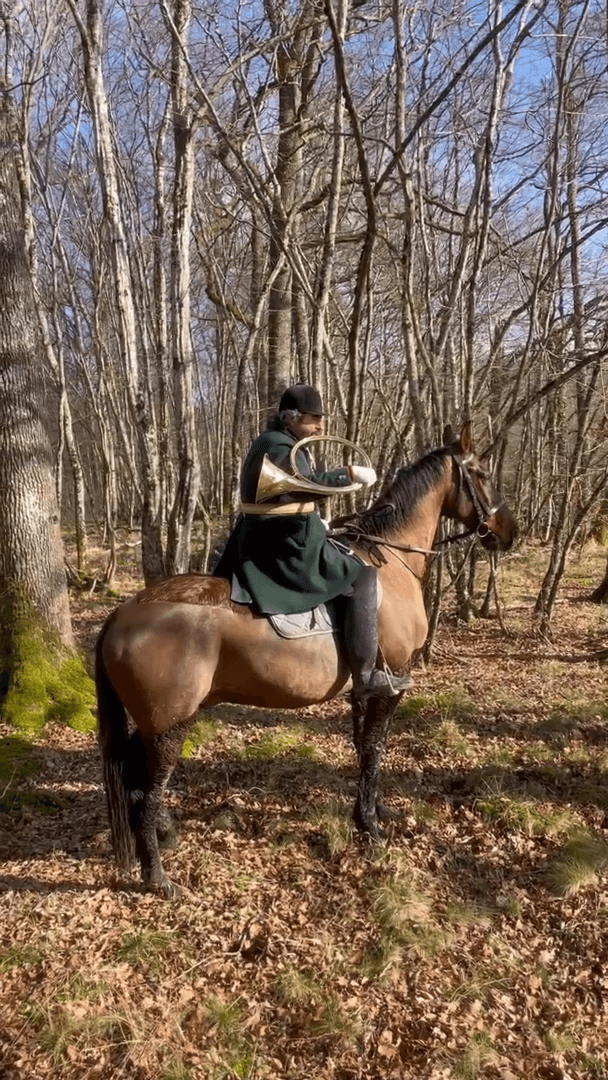 Bien allé à la chariere jaune ...